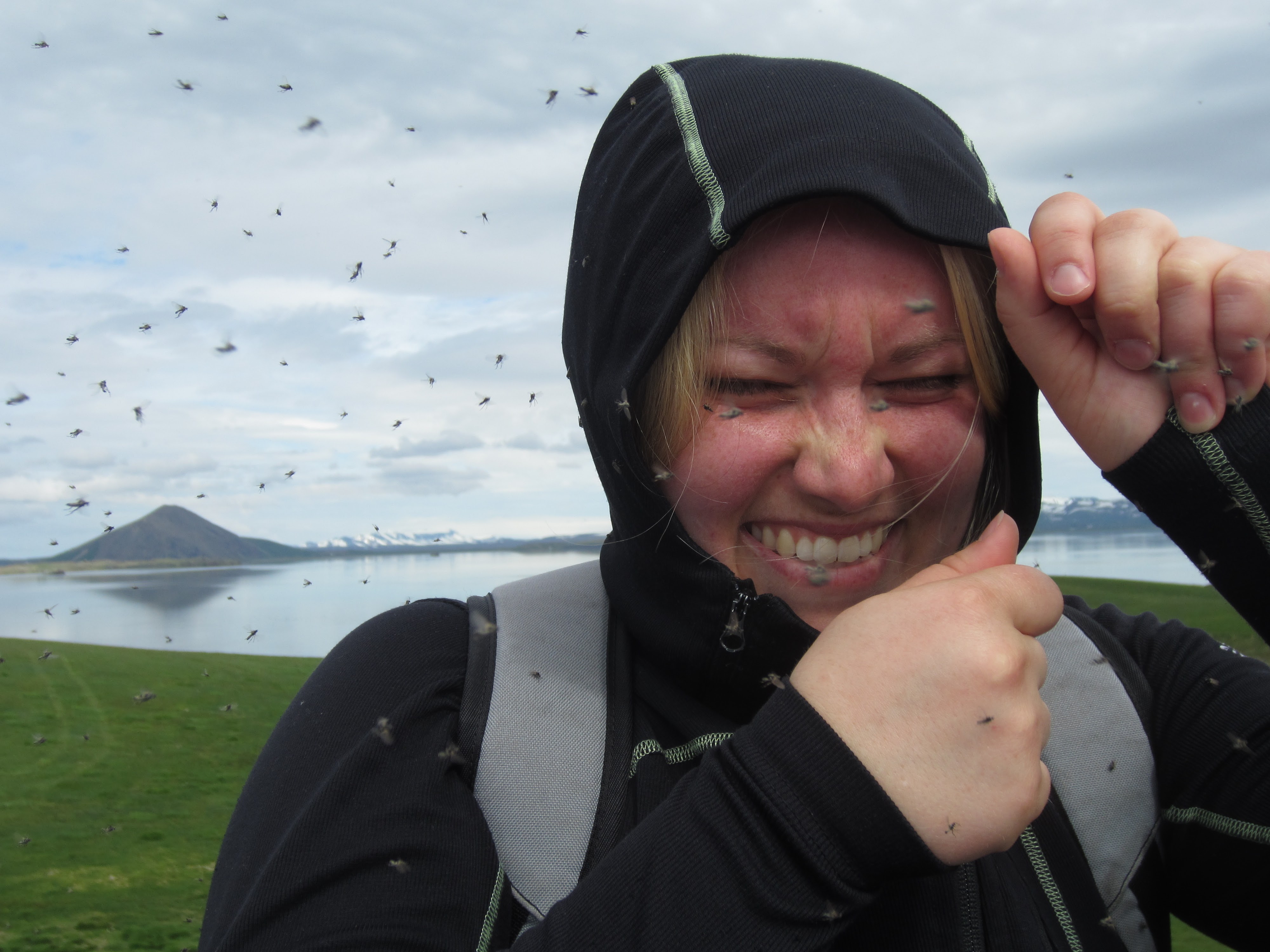 This image has an empty alt attribute; its file name is img_4072.jpg